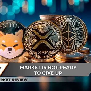 Shiba Inu (SHIB) Can Win This Market Correction, XRP Breakout is Back In Game, Ethereum (ETH) Below $3,000: What To Expect?