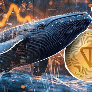 Toncoin (TON) Skyrockets 104% in Whale Moves Amid Market Shorts Liquidation