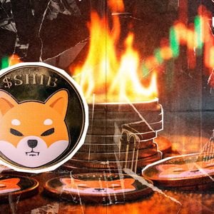 SHIB Burns Skyrocket 104%, Here's Surprising Twist