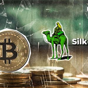 Bitcoin Wallets Linked to Freed Silk Road Founder Still Worth Around $47 Million