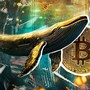 $800 Million Worth of Bitcoin Mysteriously Moved as BTC Soars, Here's What's Happening