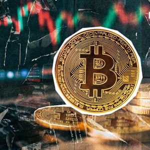 Bitcoin Price Driven by Large Investors: Details