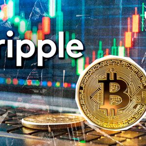 Ripple Exec Predicts That Bitcoin Will Stay Number One for ‘a Long Time’