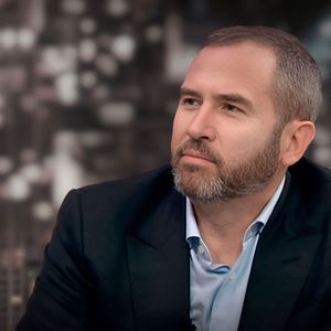 Ripple CEO Trolls Bitcoiners with New Statement