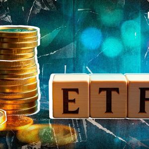 XRP, Cardano, Bonk ETF Filed by Turtle Capital