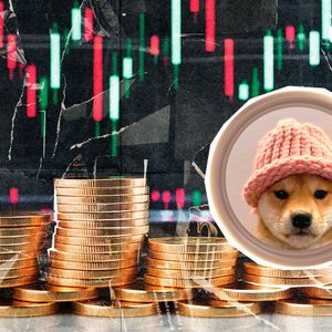 dogwifhat (WIF) Outperforms Top 100 Coins With 16% Surge