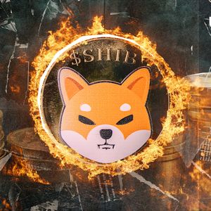 SHIB Burns Skyrocket 2,085%, Price Reacts With Surprise Fall