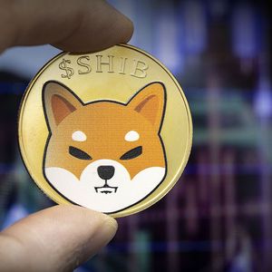 Shiba Inu Shows Strange Trend in This Key Blockchain Metric: Details