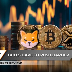 Shiba Inu (SHIB) Fails First Major Test, Bitcoin (BTC) Losing Fuel, XRP Ready For Another Skyrocketing Rally?