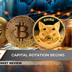 Solana (SOL): Worst Drop in 3 Years, US Dollar to Decimate Bitcoin (BTC)? Shiba Inu (SHIB) Surprise Recovery Possibility