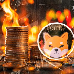 SHIB Burn Rate Prints Massive 588% Rise, Price Mirrors This Surge, But There's Catch