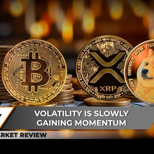 Bitcoin (BTC) Surges to $100,000: 3 Key Levels Next, Will XRP Follow Bullish Wave? Dogecoin (DOGE) In Very Difficult Position