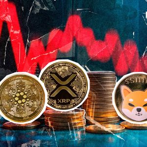 XRP, ADA, SHIB, DOGE in Red as Crypto Liquidations Top $556 Million