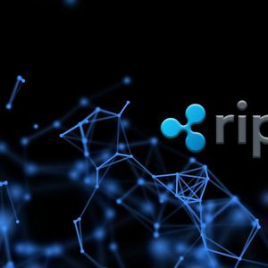 Ripple Executive Makes an Unexpected Offer to FTX Employees: Details