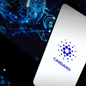 Cardano Network Activity Spikes On FTX Crash, Here’s Detailed Insight