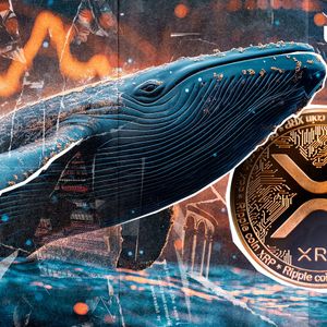 XRP Millionaires Disappear