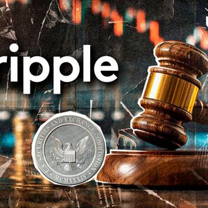 Dropping the Ripple Appeal 'Next Up for Sure,' Former SEC Exec