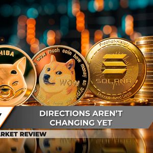 3 Major Dogecoin (DOGE) Support Levels, Shiba Inu (SHIB) Attempts Solid Recovery, Solana (SOL) Sees Secret Whale Accumulation