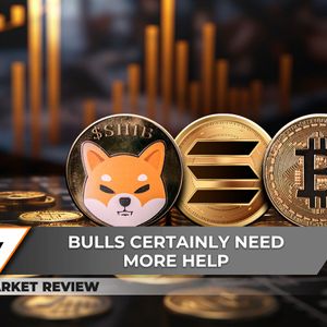 Shiba Inu (SHIB) Delivers Grim Volume Signal, Bitcoin (BTC): Is it Trying to Break $90,000? Solana (SOL): Days Before Recovery?