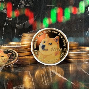 1,000,000,000 DOGE in 24 Hours - What's Happening?