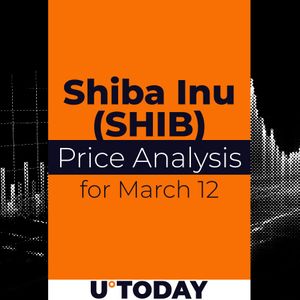 SHIB Price Prediction for March 12