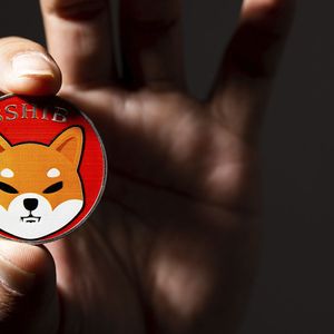 Shiba Inu Team Weighs In on Ongoing Crypto Crisis