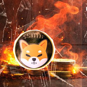 SHIB Burn Rate Skyrockets 416% With Half Billion SHIB Torched