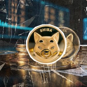 Crucial Warning Issued by SHIB Team: Details