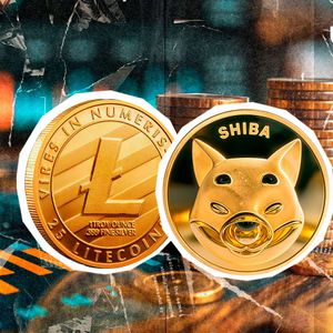 SHIB Falls Behind Litecoin in Key Metric: Details