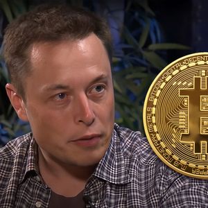 Elon Musk On Bitcoin & What Could Be Stopping It Right Now