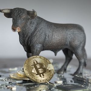 This Bitcoin Metric Suggests Potential Price Rally, Heres Why