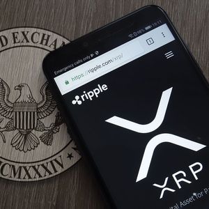 XRP & Ripple Receive 6 Times More Briefs In Support Than SEC