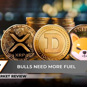 Shiba Inu (SHIB) Breaches Yearly Price Foundation, Dogecoin (DOGE): It Has Begun, XRP Reaching Critical Support Level