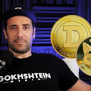 I’ll Keep Getting DOGE and SHIB, Other Meme Coins Under Question: David Gokhshtein