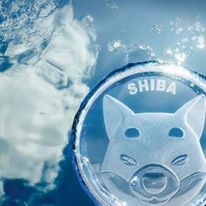 SHIB Price May Have Found Its Bottom, Here's What’s Next