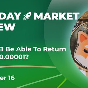 Will SHIB Be Able To Return Above $0.00001? Crypto Market Review, November 16