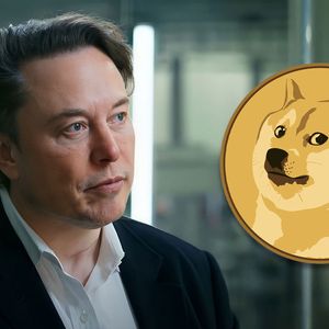 Dogecoin Founder Reveals Why He Does Not Want to Work for Elon Musk