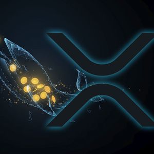 Hundreds of Millions Of XRP Moved from Binance, Here’s What Happened Here