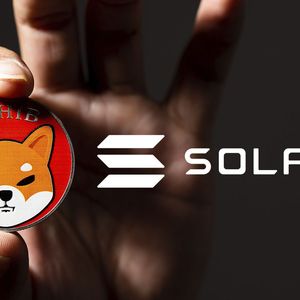 SHIB Capitalizes On Solana’s Failures, Here’s What It’s About