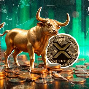 XRP Bulls Just Got Confirmation They've Been Waiting For
