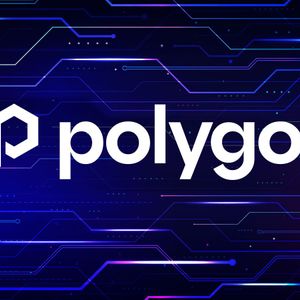 Polygon Founder on Blockchain Future: "Thousands of Very Niche Chains"