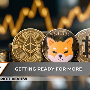 Ethereum (ETH) at 31% Skyrocketing in Hours: What's Next? Shiba Inu (SHIB) Ready For $0.00002, Bitcoin (BTC): Don't Get Too Bullish For $100,000