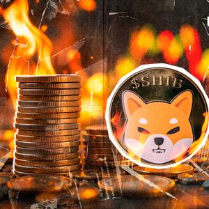 Harsh Truth About SHIB Burns Revealed by SHIB Team