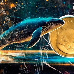 280% Surge in 30 Days, Shiba Inu (SHIB) Whales Make Move