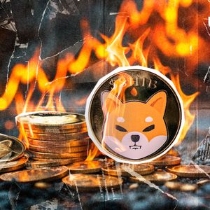 Shiba Inu (SHIB) Burns on Verge of Exceeding 410 Trillion