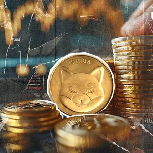3,333,333 SHIB in 24 Hours: What’s Behind Weird Numbers?