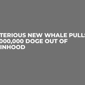 Mysterious New Whale Pulls 260,000,000 DOGE Out of Robinhood