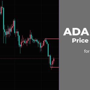 ADA and BNB Price Analysis for November 19