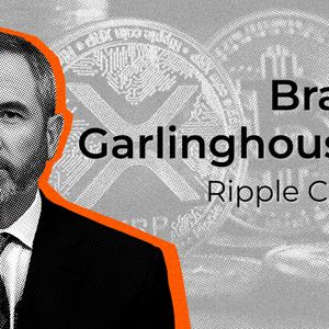 Ripple CEO Breaks Silence on 'The Skull of Satoshi' and Implication For Crypto Unity