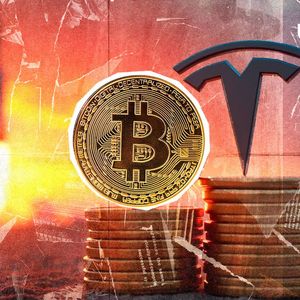 Musk Might Buy More Bitcoin After Congress Rant, XRP Advocate Says